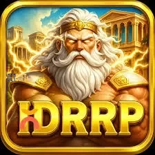Logo idrrp